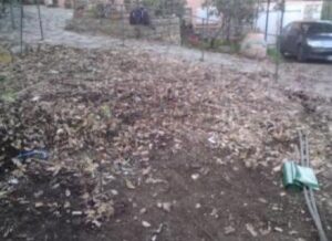 image_badca971fca0c93c0b832373dcb763ee